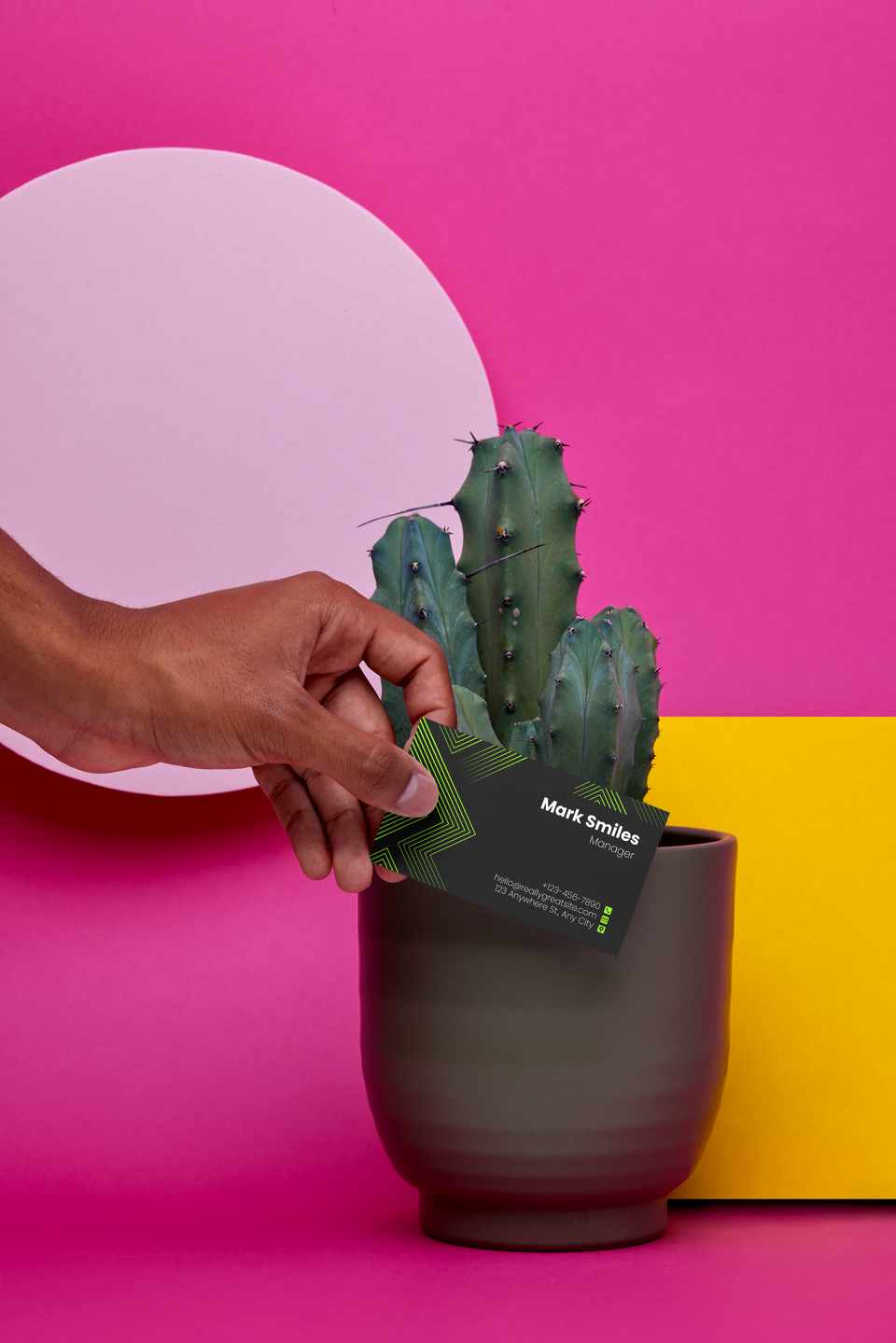 Print & Display Designs